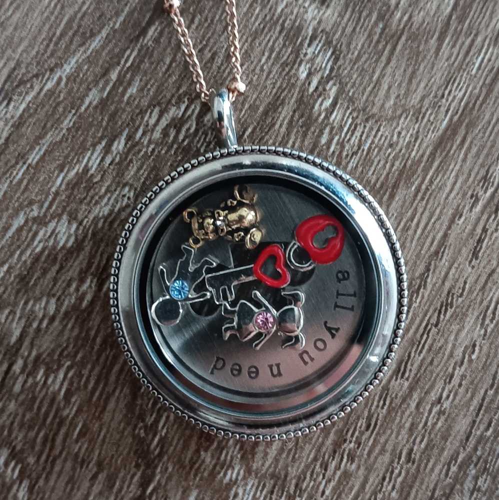 Origami Owl Necklace Floating Charms Pendant